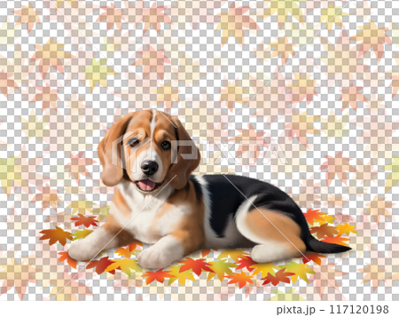 小獵犬無縫模式 C-1 117120198