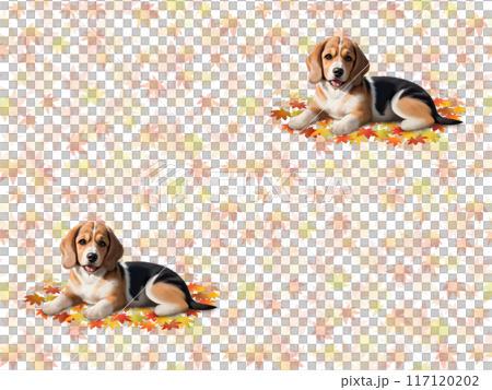 小獵犬無縫模式 D-1 117120202