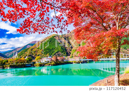 【神奈川県】丹沢湖の紅葉　三保ダム湖畔 117120452
