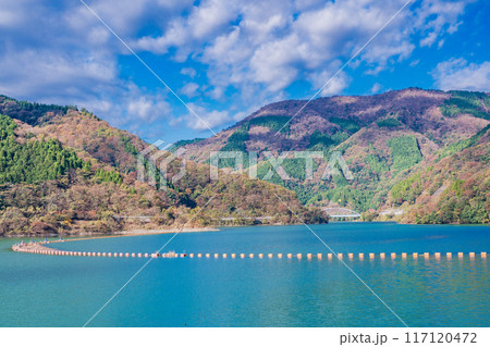 【神奈川県】丹沢湖の紅葉　三保ダム湖畔 117120472