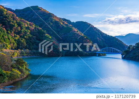 【神奈川県】丹沢湖 玄倉地区の紅葉 早朝 【神奈川県】丹沢湖 玄倉地区の紅葉 早朝 117120739