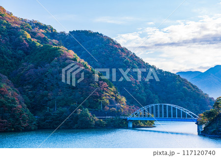 【神奈川県】丹沢湖　玄倉地区の紅葉　早朝 117120740