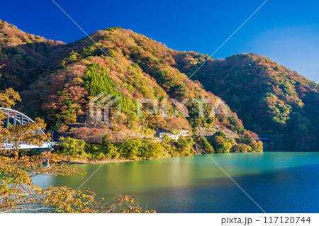 【神奈川県】丹沢湖　玄倉地区の紅葉　早朝 117120744