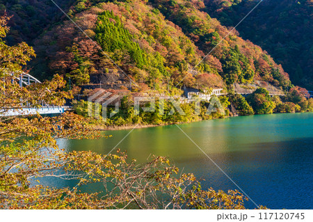 【神奈川県】丹沢湖　玄倉地区の紅葉　早朝 117120745