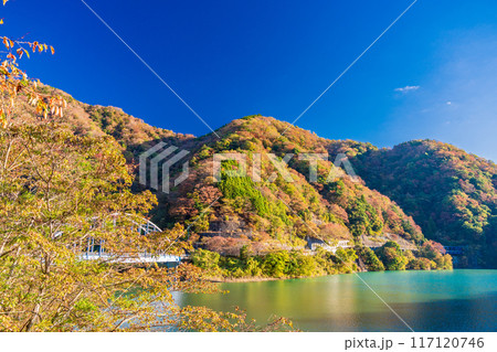 【神奈川県】丹沢湖 玄倉地区の紅葉 早朝 【神奈川県】丹沢湖 玄倉地区の紅葉 早朝 117120746
