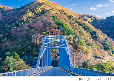 【神奈川県】丹沢湖　玄倉地区の紅葉　早朝 117120747