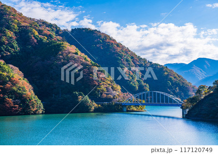 【神奈川県】丹沢湖　玄倉地区の紅葉　早朝 117120749