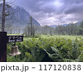 朝の上高地 117120838