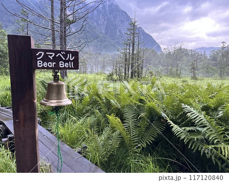 クマベル クマベル 117120840