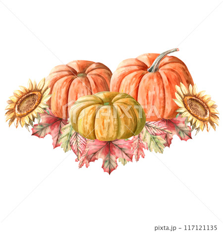 A composition of three pumpkins, sunflowers, leaves painted in watercolor. IlIustration on the theme of harvest for fairs, agricultural holidays. The illustration is isolated from the background. 117121135