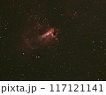 オメガ星雲 117121141
