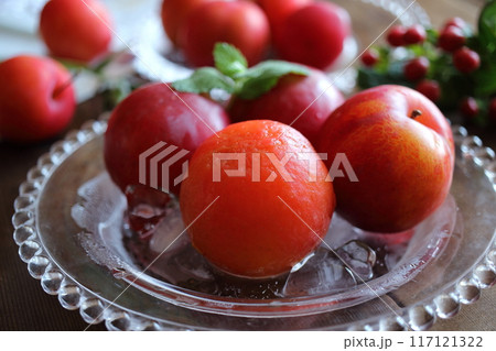 完熟サマーエンジェルプラム(1) 完熟サマーエンジェルプラム(1) 117121322