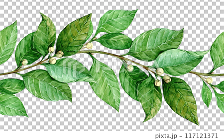 Laurel seamless pattern. Horizontal border with green leaves. Hand drawn watercolor illustration for invitations, greetings, photos, text. Antique symbol of victory, gain. 117121371