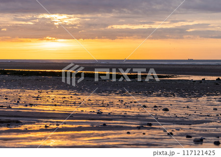 Experience the beauty of a tranquil beach at sunset, with stunning reflections on the serene water Experience the beauty of a tranquil beach at sunset, with stunning reflections on the serene water 117121425