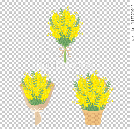 Mimosa bouquet set 117121949