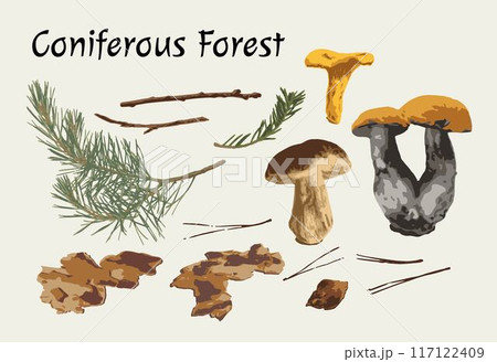 Clip art, design elements, set of nature objects of coniferous forest. Image tracing, cleaned and simplified illustrations. Realistic style. Not AI. 117122409