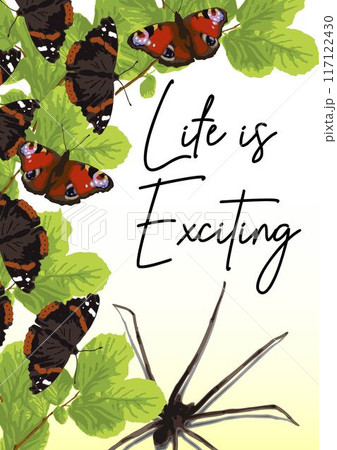 Bright summer poster with copy space with green lush foliage, leaves, butterflies with spread wings, big spider, text. Concept of Vertical nature backdrop. A4 paper size. 117122430