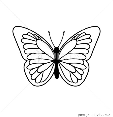 Insect butterfly silhouette 117122602