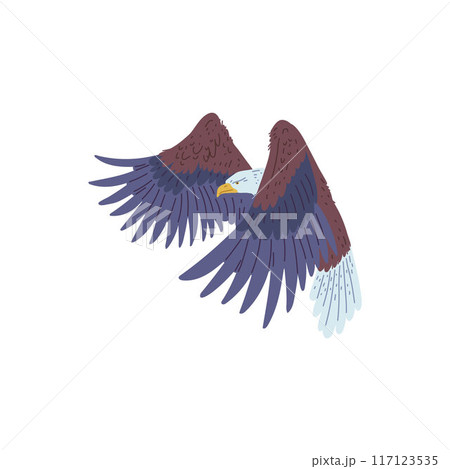 Vector illustration of a soaring bald eagle for design projects. 117123535