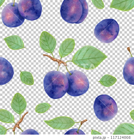 Purple plums with leaves seamless fruit pattern. Botanical illustration with markers and watercolor. Plum berry wallpaper for food packaging design, tablecloths. Hand drawn isolated background. 117124008