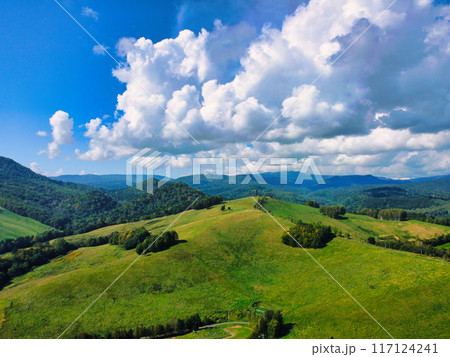夏の北海道 117124241