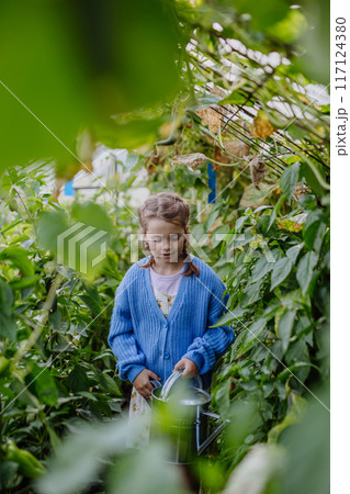 Portrait of a young girl standing in a greenhouse in the middle of growing vegetables. Portrait of a young girl standing in a greenhouse in the middle of growing vegetables. 117124380