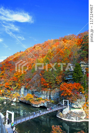 秋の塔のへつり(福島県・下郷町) 秋の塔のへつり(福島県・下郷町) 117124467