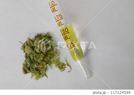Pipette with cannabis oil and marijuana bud macro, top view. Medicine and treatment concept. Pipette with cannabis oil and marijuana bud macro, top view. Medicine and treatment concept. 117124584