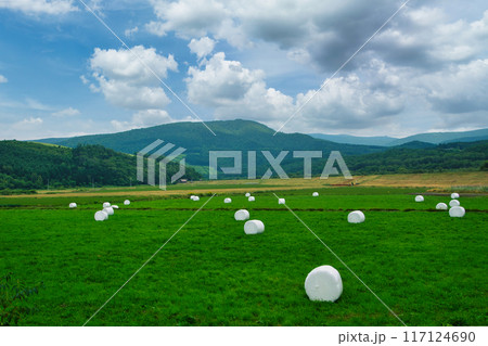 夏の風景 117124690