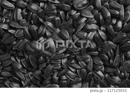 Sunflower seeds background, closeup of roasted seeds. Sunflower seeds background, closeup of roasted seeds. 117125033