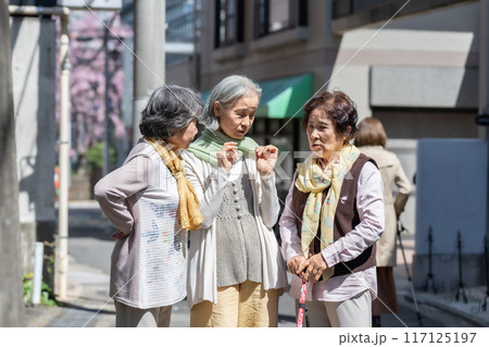 立ち話をするシニア女性 3人 立ち話をするシニア女性 3人 117125197