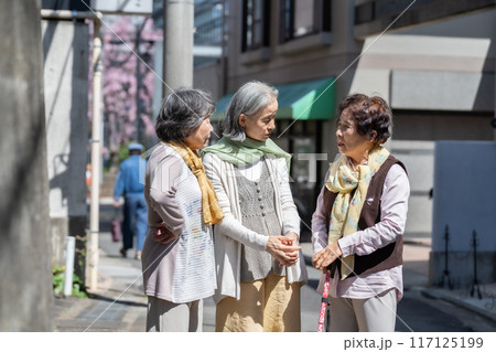 立ち話をするシニア女性　3人 117125199