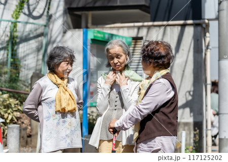 立ち話をするシニア女性 3人 立ち話をするシニア女性 3人 117125202