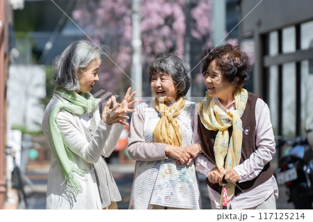 立ち話をするシニア女性 3人 立ち話をするシニア女性 3人 117125214