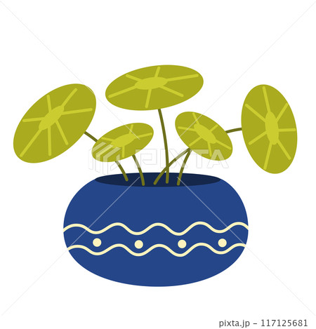2243_house_plant_17 2243_house_plant_17 117125681