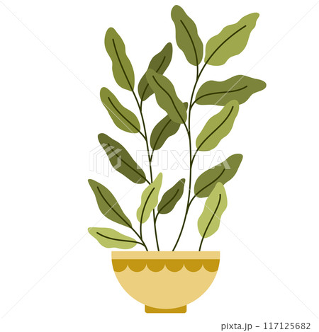 2230_house_plant_4 117125682