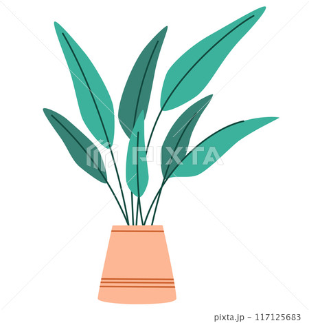 2233_house_plant_7 117125683