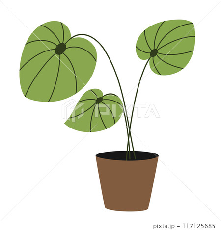 2236_house_plant_10 117125685