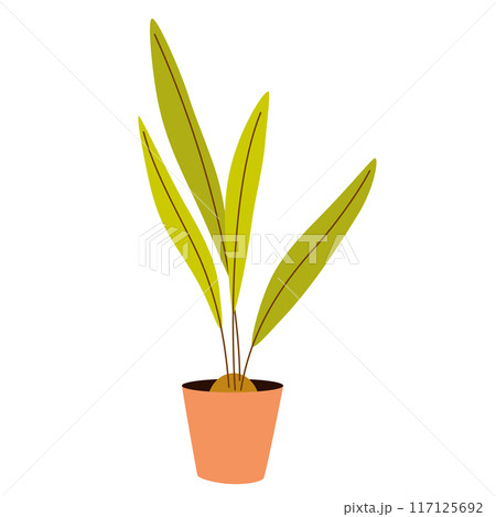 2235_house_plant_9 117125692