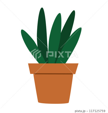 2239_house_plant_13 2239_house_plant_13 117125759