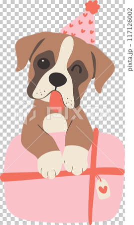 Cute Birthday dog baby boxer flat illustration 117126002