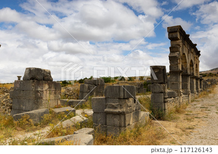Volubilis is a partly-excavated Berber-Roman city in Morocco situated near the city of Meknes 117126143
