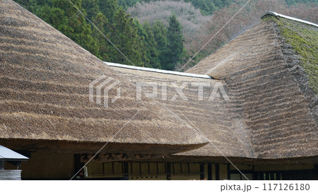 茅葺屋根のある風景 茅葺屋根のある風景 117126180