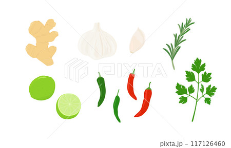 いろいろなスパイスのイラスト にんにく、生姜、唐辛子 いろいろなスパイスのイラスト にんにく、生姜、唐辛子 117126460