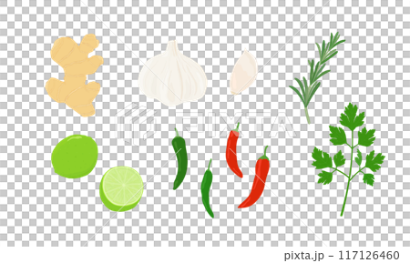 いろいろなスパイスのイラスト にんにく、生姜、唐辛子 いろいろなスパイスのイラスト にんにく、生姜、唐辛子 117126460