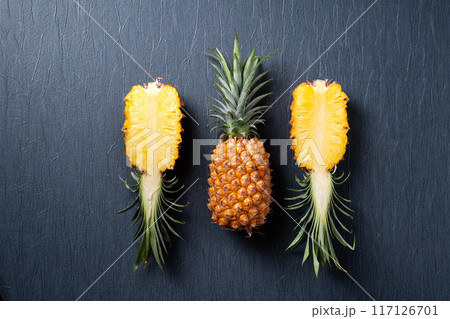 パイナップル パイン パインアップル 117126701