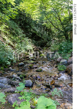 ニシブタ沢　野反湖畔のハイキングコース 117126772