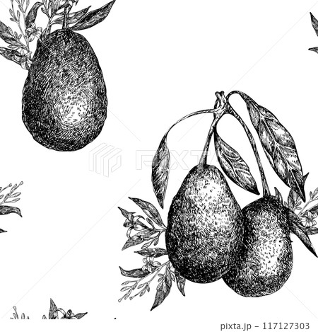 Seamless pattern with avocado hass graphic illustration, hand drawn sketch of vegetable, leaves, flowers. Botanical drawing of tropical fruit. Engraving for food packaging design. Seamless pattern with avocado hass graphic illustration, hand drawn sketch of vegetable, leaves, flowers. Botanical drawing of tropical fruit. Engraving for food packaging design. 117127303
