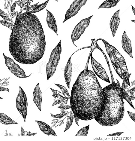 Seamless pattern with avocado hass graphic illustration, hand drawn sketch of vegetable, leaves, flowers. Botanical drawing of tropical fruit. Engraving for food packaging design. 117127304