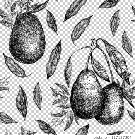 Seamless pattern with avocado hass graphic illustration, hand drawn sketch of vegetable, leaves, flowers. Botanical drawing of tropical fruit. Engraving for food packaging design. 117127304